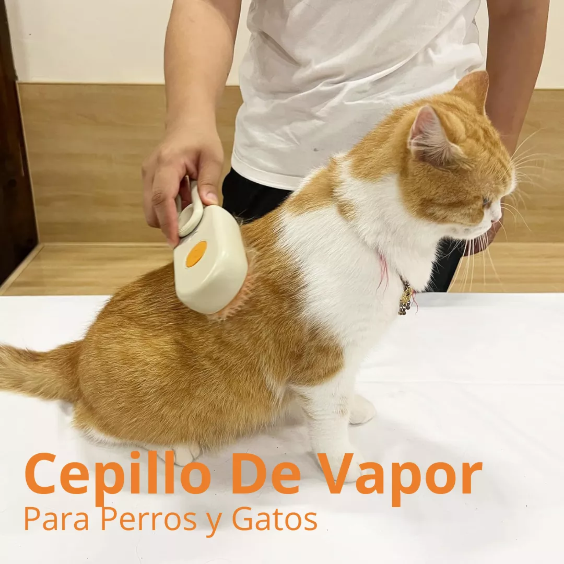 Cepillo a Vapor Para Mascotas -  Recargable
